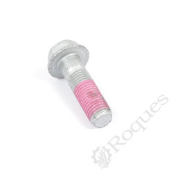 VIS AUTOFREINE H 16X55 ADHESIF