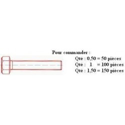 VIS TH 8.8 Zn DIN 933 M14x35 ( prix aux 100 pièces ) Boitage 50
