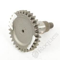 PIGNON D'ENTREE 30 DTS - prix valable jusqu'à épuisement 