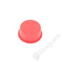 BOUCHON D'OBTURATION  