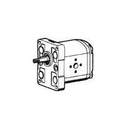 POMPE A ENGRENAGE STD ITALIEN ( Gr. 2 , 19 cm3 , rotation à droite )