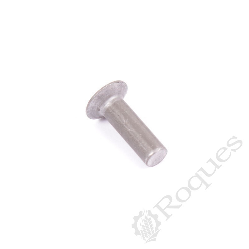 RIVET TFA 120 6X20 Sulky - Burel