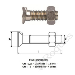 BOULON TF 1 ERGOT 10X30 ( prix aux 100 pièces ) 