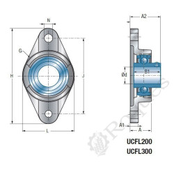 PALIER APPLIQUE 2 TROUS IMPORT 