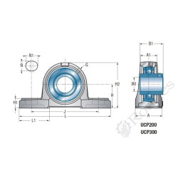 PALIER A SEMELLE IMPORT 