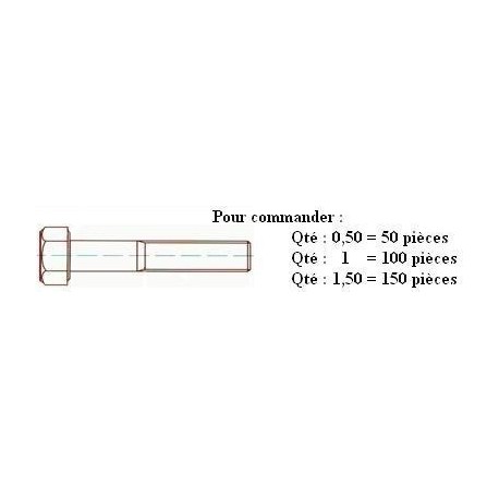 VIS TH 8.8 Zn DIN 931 M6x35 ( prix aux 100 pièces ) Boitage 200