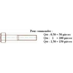 VIS TH 8.8 Zn DIN 931 M6x40 ( prix aux 100 pièces ) Boitage 200