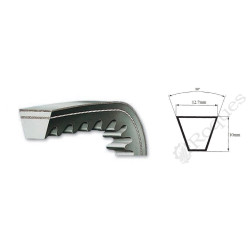COURROIE TRAPEZOIDALE CRANTEE 12.7x10 COLMANT CUVELIER XPA 950