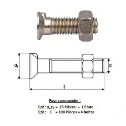 BOULON TF 1 ERGOT 10X30 ( prix aux 100 pièces )