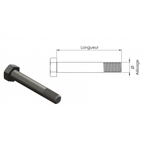 VIS Ø14 x 88 mm FORGES GORCE 14Bx 88 FG000311