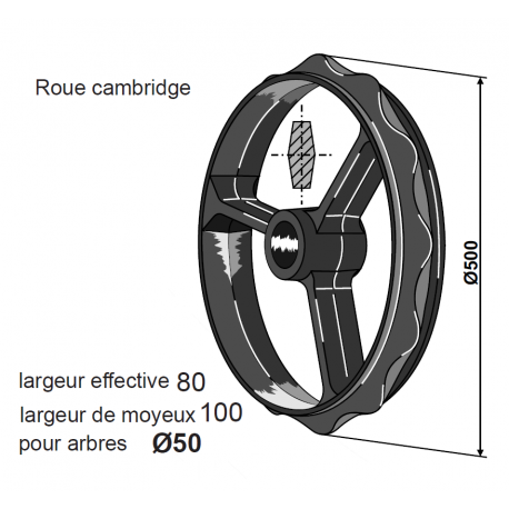 ROUE CAMBRIDGE ø D 500 , moyeu de 100 , pour arbre Ø50 TYPE DALBO