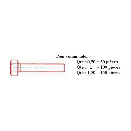 VIS TH 10.9 Brut DIN 933 M10x25 ( prix aux 100 pièces ) Boit. s/cde