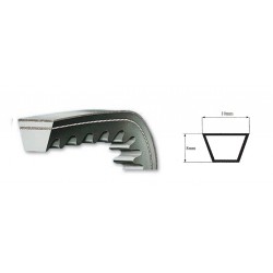 COURROIE TRAPEZOIDALE CRANTEE AVX10 10x8 Lg Ext 1018 mm