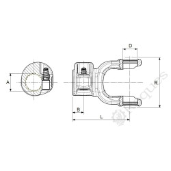 MACHOIRE VR 1"3/8 Z21 SERIE 10 EUROCARDAN type Bondioli