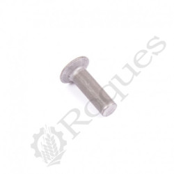 RIVET TFA 120 6X20 Sulky - Burel