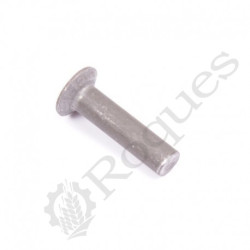 RIVET TFA 120 6X25 type Sulky - Burel