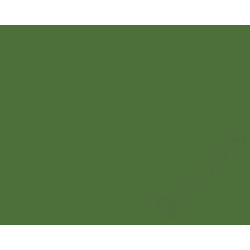LAQUE VERT RAL 6010 ( AMAZONE ) 400ml Bouchillou/Alkya