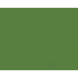 LAQUE VERT RAL 6017 ( KRONE ) 400ml Bouchillou/Alkya