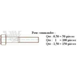 VIS TH 8.8 Zn DIN 931 M6x40 ( prix aux 100 pièces ) 