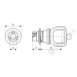 MACHOIRE Bondioli SFT S6 80° 1"3/8 Z6 