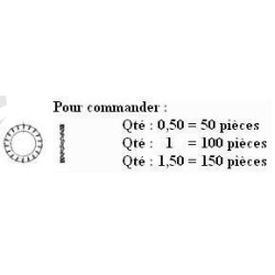 RONDELLE EVENTAIL Zn DIN 6798 M20 ( prix aux 100 pièces ) 