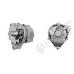 ALTERNATEUR ( MG 124 ) 14V 33A AAG1311 / 11201096