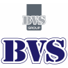 BVS